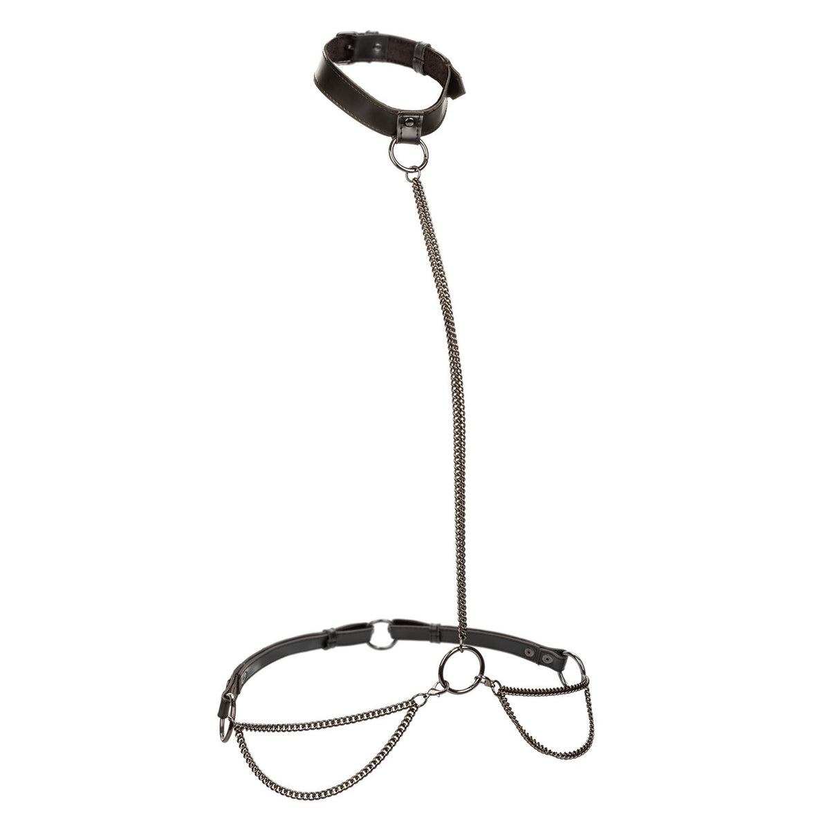 EUPHORIA CHAIN HALTER COLLAR & LEASH - SE310100