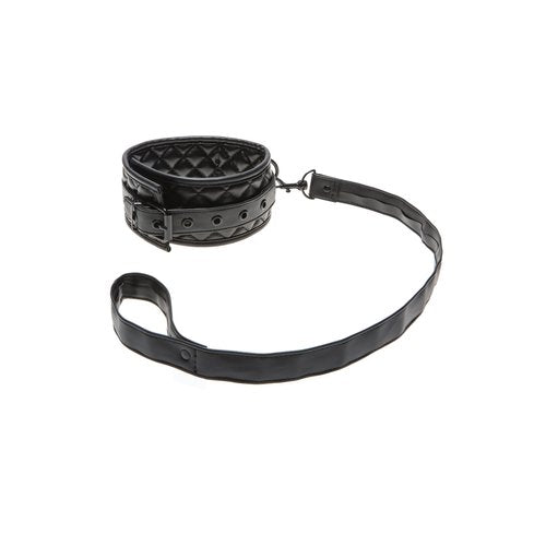 Collar & Leash - 2084