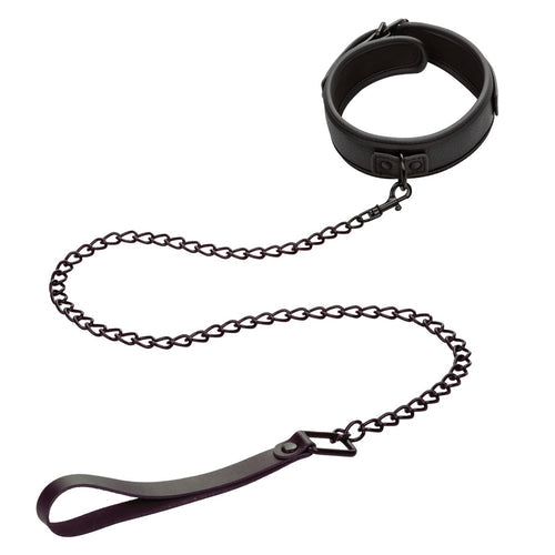 NOCTURNAL COLLAR & LEASH - SE267810