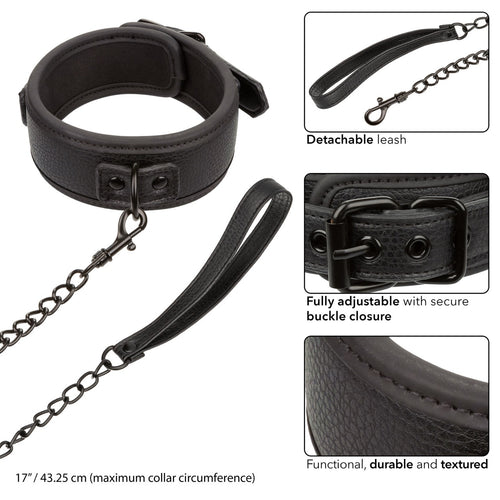 NOCTURNAL COLLAR & LEASH - SE267810