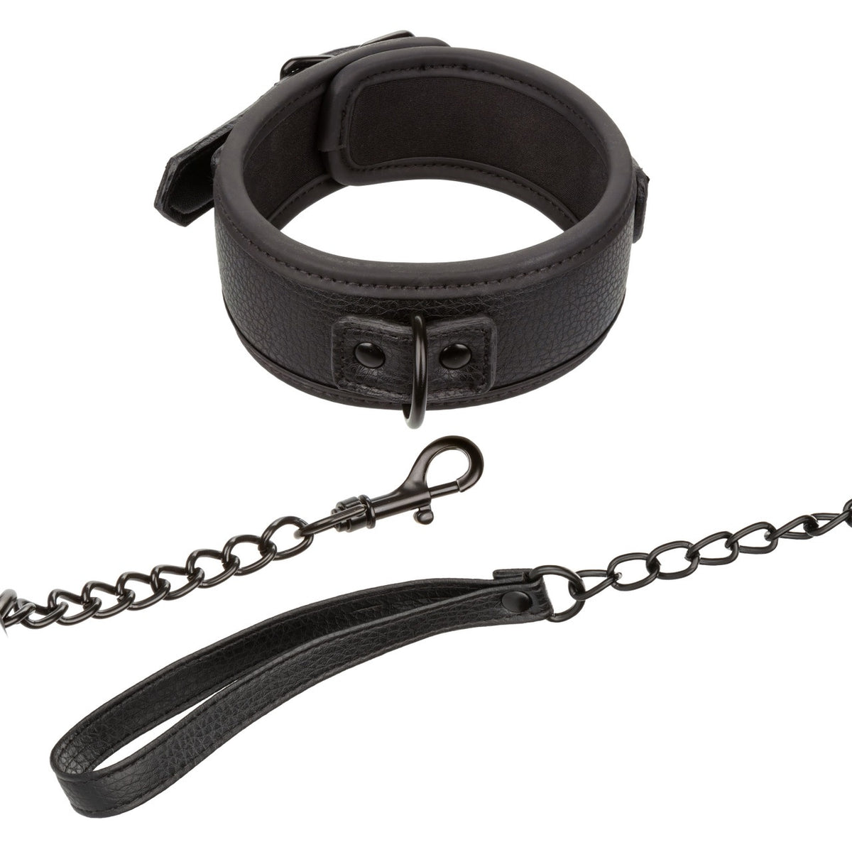 NOCTURNAL COLLAR & LEASH - SE267810