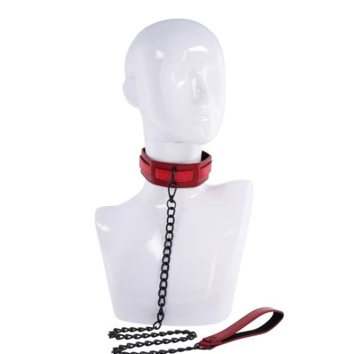 EX'S & OH'S COLLAR & LEASH - SS09982