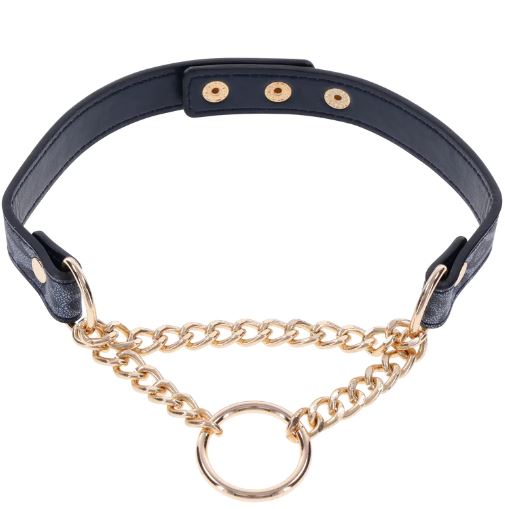 COUGAR DAY COLLAR - SS09974