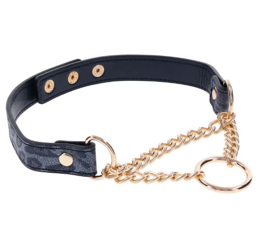 COUGAR DAY COLLAR - SS09974