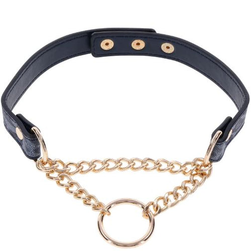 COUGAR DAY COLLAR - SS09974