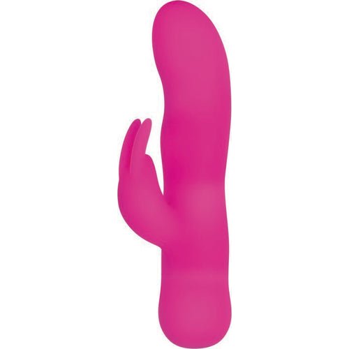 EVOLVED SUGAR BUNNY - ENVB11722