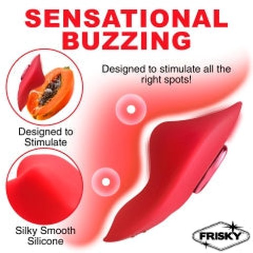 FRISKY LOVE CONNECTION PANTY VIBE W/ REMOTE - XRAH368