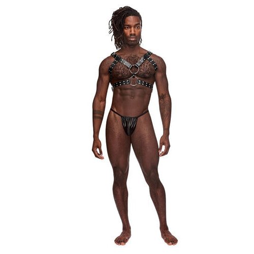 GEMINI LEATHER HARNESS BLACK O/S - MP591266BK1S