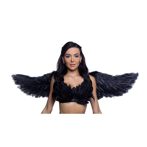 6843 - Wings