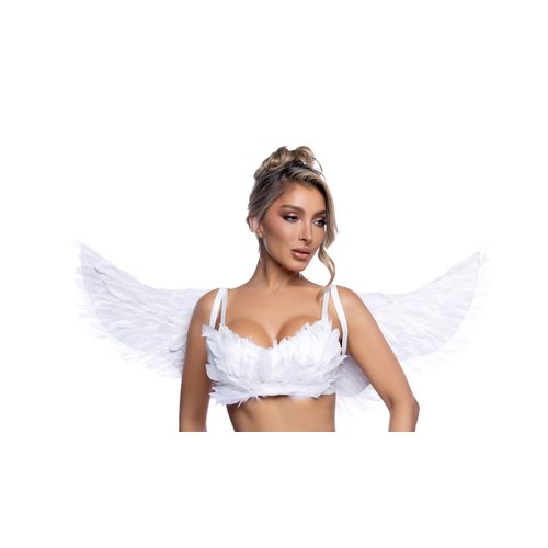 6843 - Wings