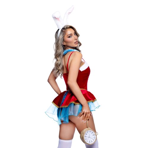 6817 - WONDERLAND BUNNY