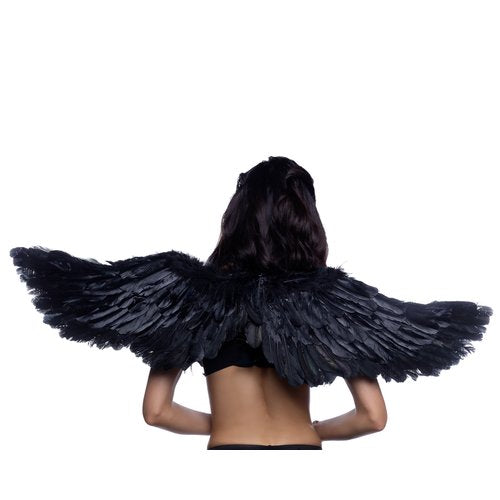 6843 - Wings