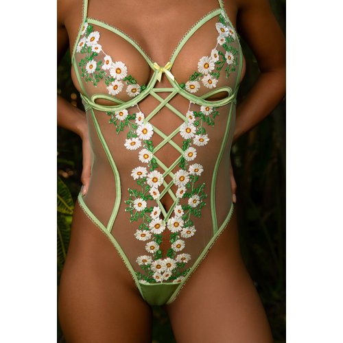 LI1035 - Daisy Tease Teddy
