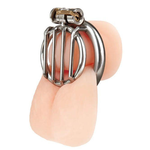 STAINLESS STEEL INVERTED MICRO JAIL TIME CHASTITY CAGE - ELBLM5029
