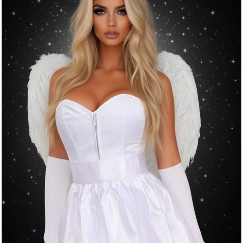Lavish 5 PC Sweet Angel Corset Costume