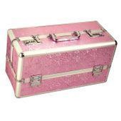 LOCKABLE VIBRATOR CASE PINK LARGE - BMS09816