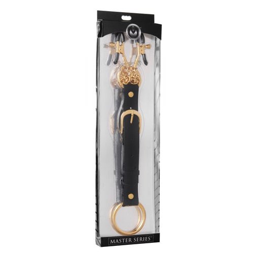 MASTER SERIES PENITENTIARY NIPPLE CLAMPS & COCK RING SET GOLD - XRAD909