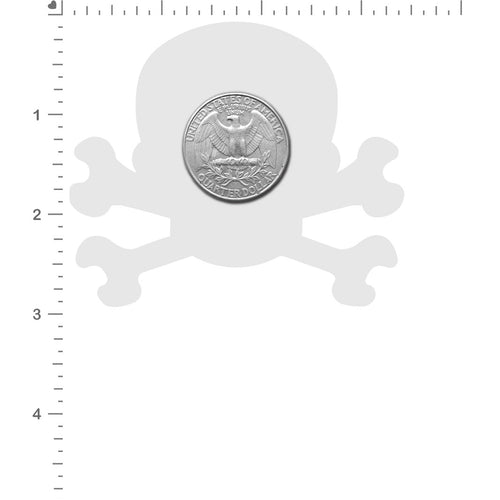 PASTEASE SKULL & CROSSBONES BLACK - PASSKLBKWT5