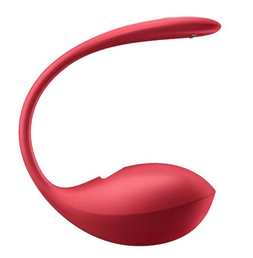 SHINY PETAL RED (NET) - EIS4002675