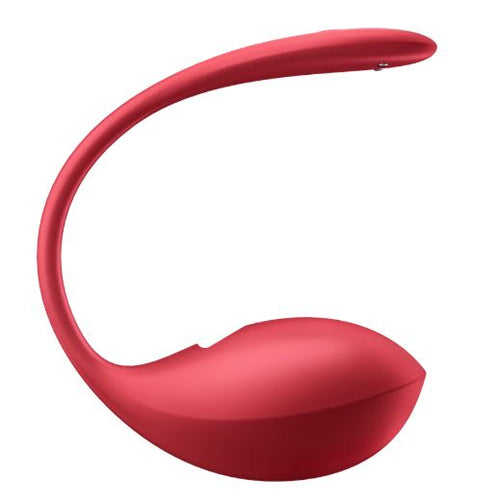 SHINY PETAL RED (NET) - EIS4002675