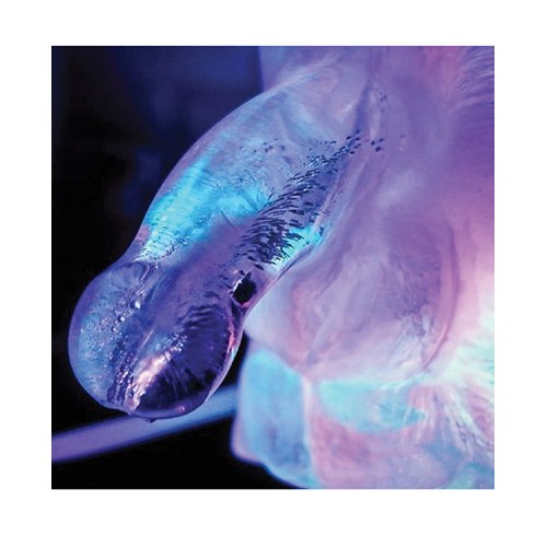 Play Wiv Me Huge Penis Ice Luge