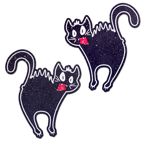 PASTEASE SCAREDY CAT HISSING KITTY - PASSCAT