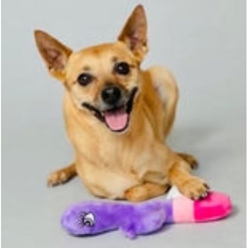 SCRUFFY BUNNY VANDERPUMP DOG TOY - CHASCR9102