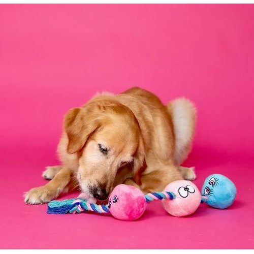 SCRUFFY TUG BUTTONS DOG TOY - CHASCR9104