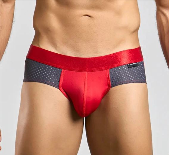 MALE BASICS SPOT BRIEF GRAY LARGE - MBS01GRYL