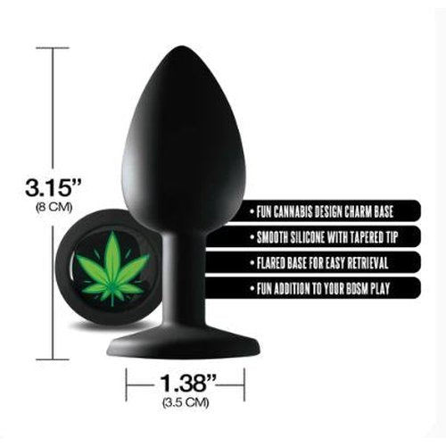 STONER VIBES IN THE REAR ANAL PLUG MEDIUM CHRONIC COLLECTION - GN2000146