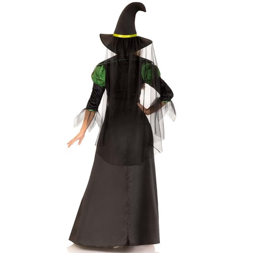 Storybook Witch Costume - SK85240   17925