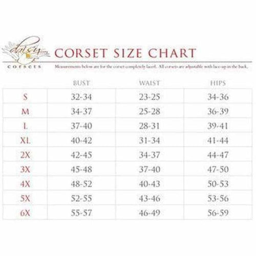 Top Drawer 4 PC Pin-Up Ladybug Corset Costume