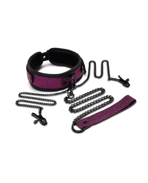 DRAGONS LAIR COLLAR LEASH NIPPLE CLIP - XGWS1068