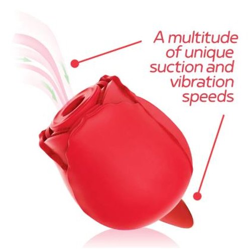 WILD ROSE & TOUNGE RECHARGEABLE - IB1701