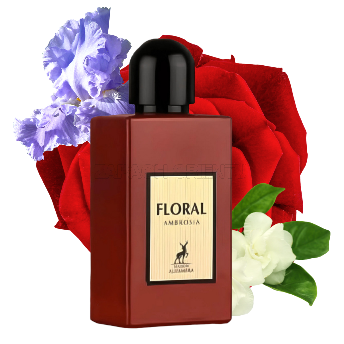 AL HAMBRA FLORAL AMBROSIA, WOMEN'S PERFUME, EDP