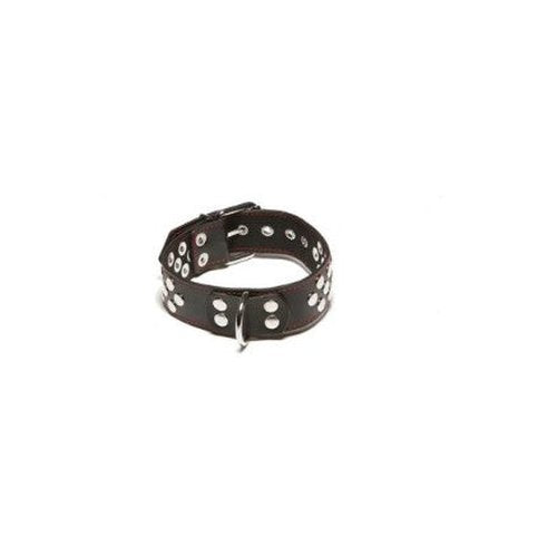 X-PLAY COLLAR WITH D-RING - 2078