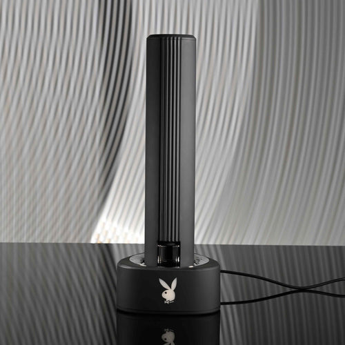 PLAYBOY PLEASURE ZONE - ENPBRS46392