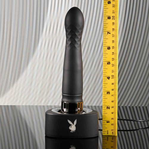 PLAYBOY PLEASURE ZONE - ENPBRS46392